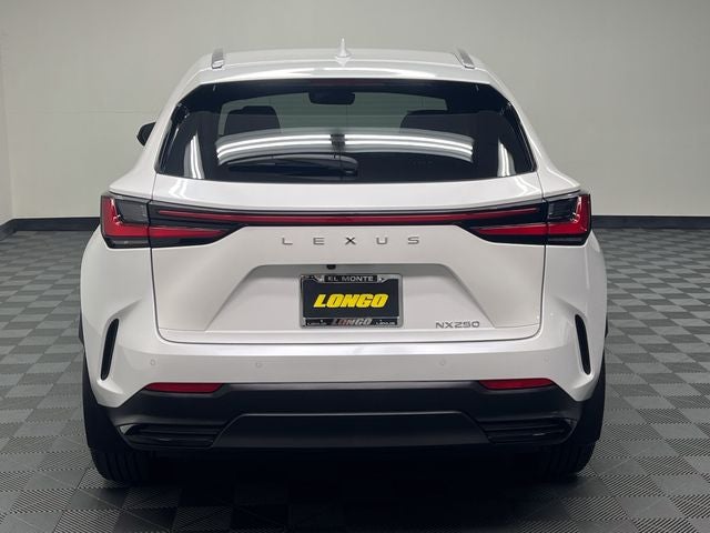 2025 Lexus NX 250