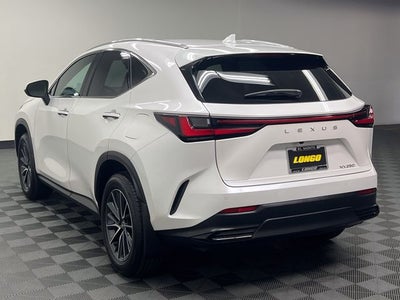 2025 Lexus NX 250