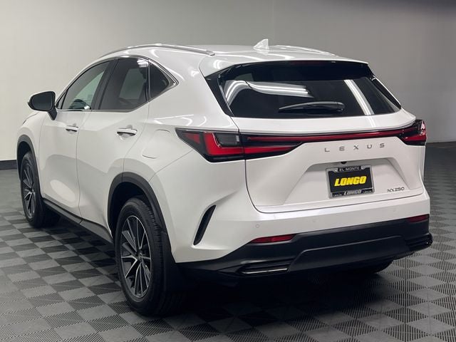 2025 Lexus NX 250
