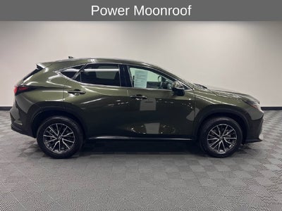 2024 Lexus NX 350