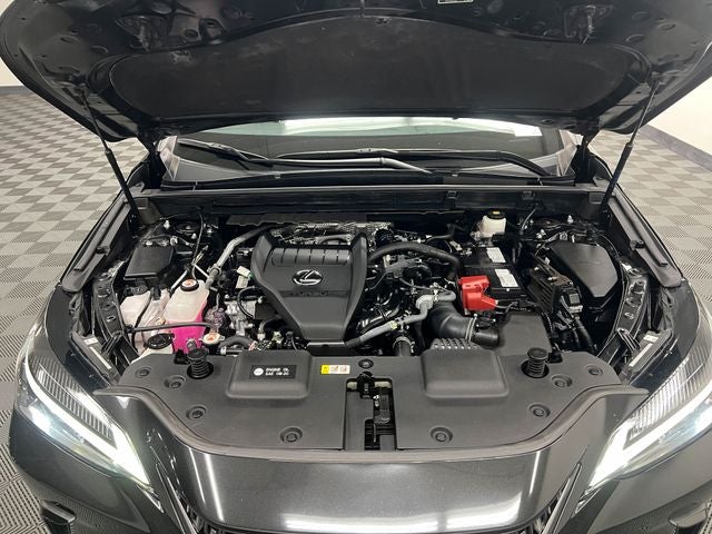 2024 Lexus NX 350