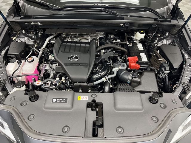 2024 Lexus NX 350