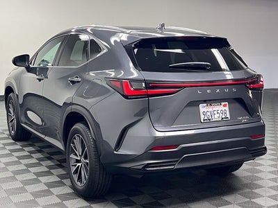 2024 Lexus NX 350