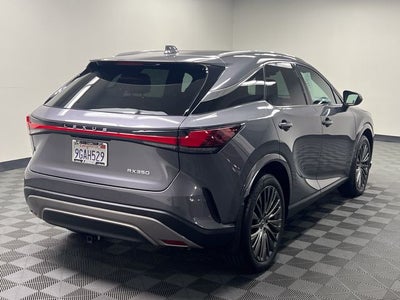 2023 Lexus RX 350 Luxury