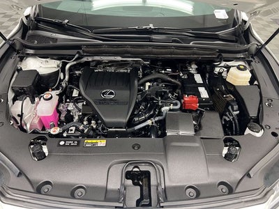 2025 Lexus RX 350