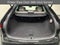 2025 Lexus RX 350h Premium