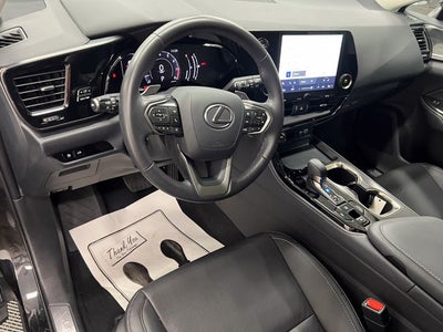 2025 Lexus NX 250 Premium