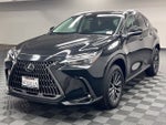 2025 Lexus NX 250 Premium