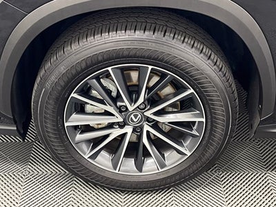 2025 Lexus NX 250 Premium