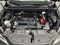 2025 Lexus NX 250 Premium