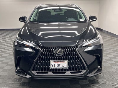 2025 Lexus NX 250 Premium