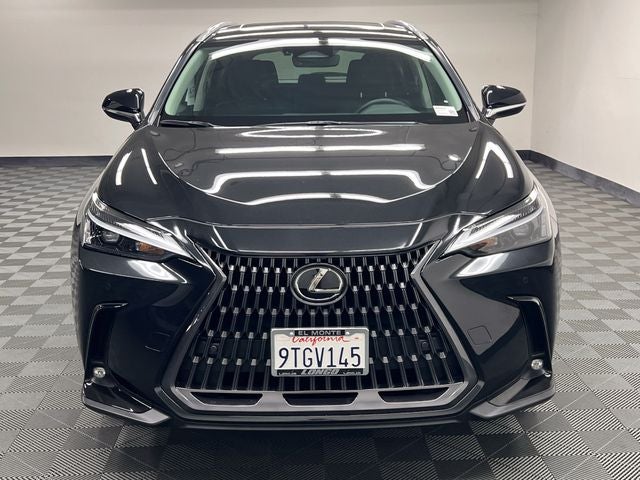 2025 Lexus NX 250 Premium