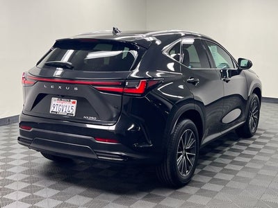 2025 Lexus NX 250 Premium