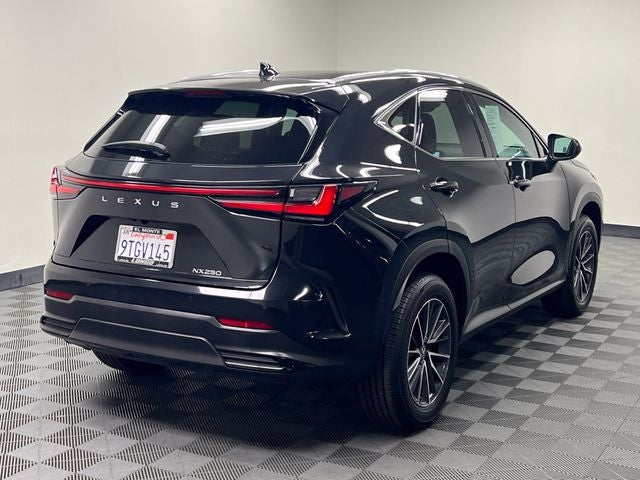 2025 Lexus NX 250 Premium