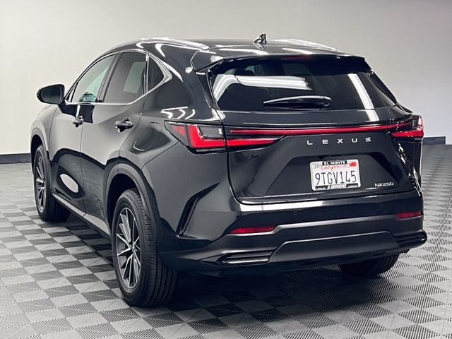 2025 Lexus NX 250 Premium