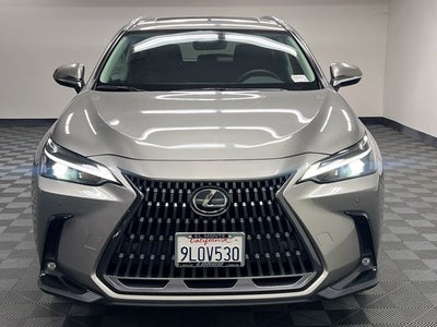 2024 Lexus NX 350 Premium