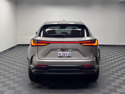 2024 Lexus NX 350 Premium