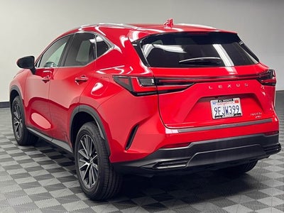 2023 Lexus NX 350 Premium