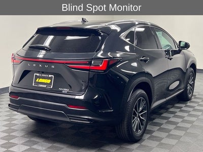 2025 Lexus NX 350 Premium