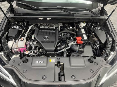 2024 Lexus NX 350 Premium