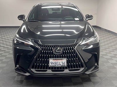 2024 Lexus NX 350 Premium