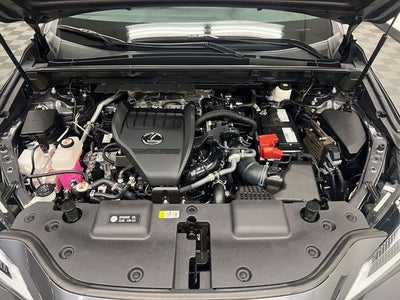 2023 Lexus NX 350 Premium