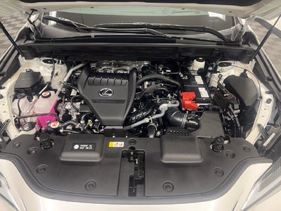 2024 Lexus NX 350 Premium