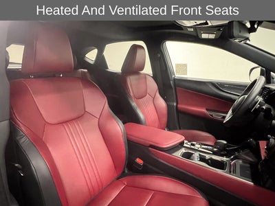 2024 Lexus NX 350 Premium