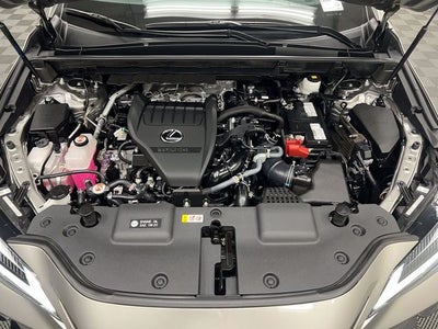2024 Lexus NX 350 Premium