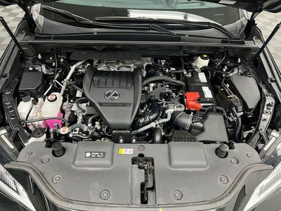 2024 Lexus NX 350 Premium