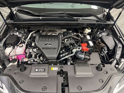2025 Lexus NX 350 Premium