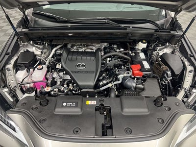 2024 Lexus NX 350 Premium