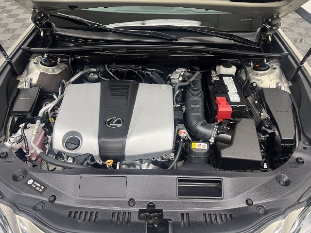 2024 Lexus ES 350