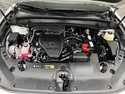 2025 Lexus TX 350 Premium