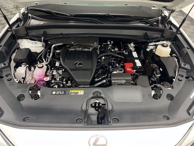 2025 Lexus TX 350