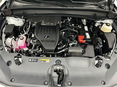 2024 Lexus TX 350 Premium