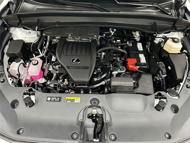 2024 Lexus TX 350 Premium