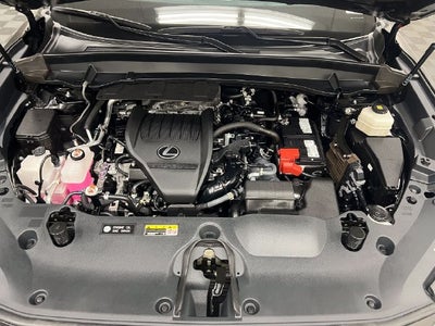 2024 Lexus TX 350 Luxury