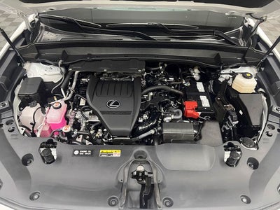 2025 Lexus TX 350 Premium