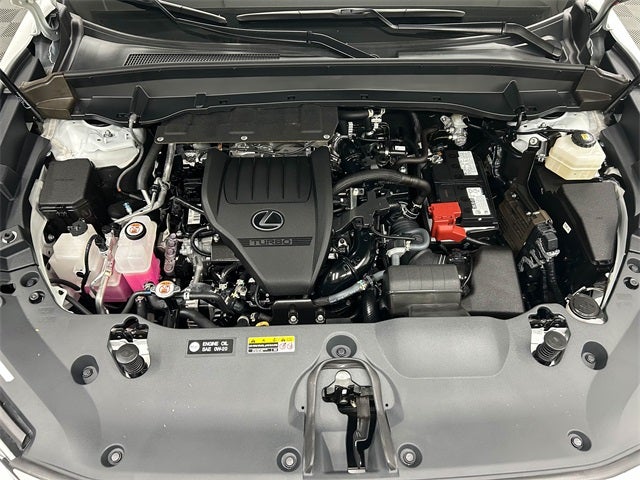 2024 Lexus TX 350 Premium