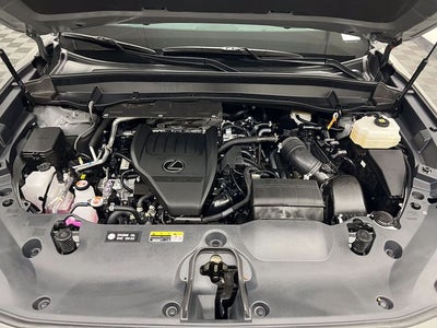 2025 Lexus TX 500h F SPORT Premium