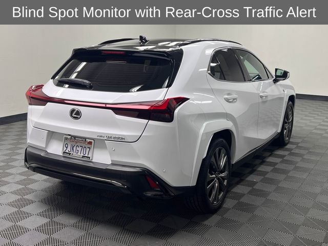 2024 Lexus UX 250h F SPORT Design