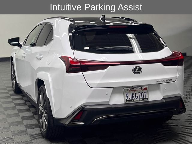 2024 Lexus UX 250h F SPORT Design
