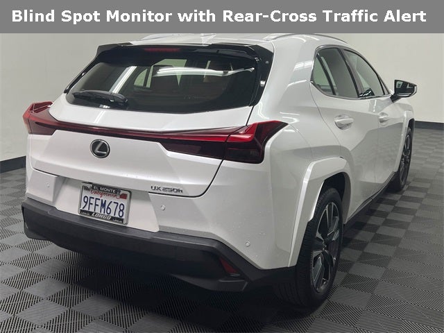 2023 Lexus UX 250h Premium