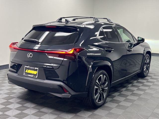 2023 Lexus UX 250h Premium