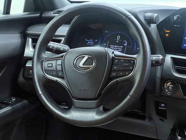 2025 Lexus UX 300h Premium