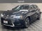 2025 Lexus UX 300h Premium