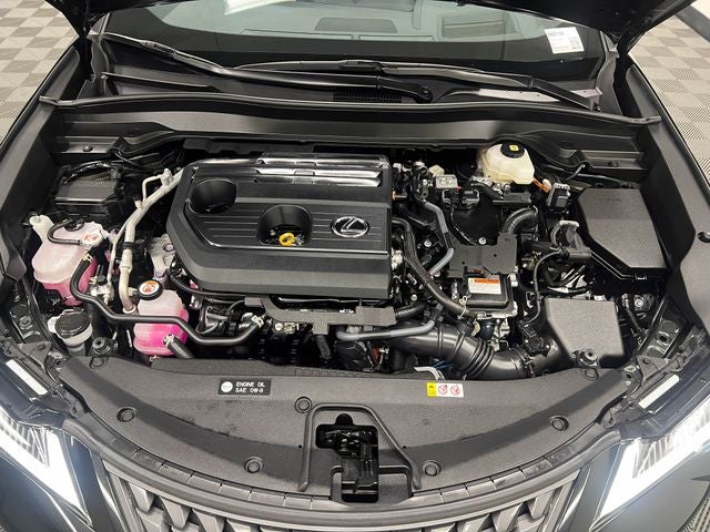 2025 Lexus UX 300h Premium