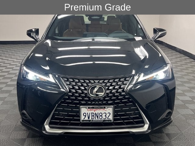 2025 Lexus UX 300h Premium