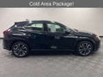 2025 Lexus UX 300h Premium